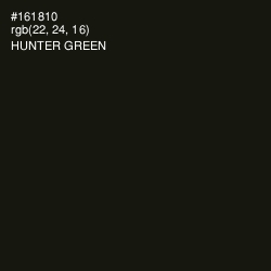 #161810 - Hunter Green Color Image